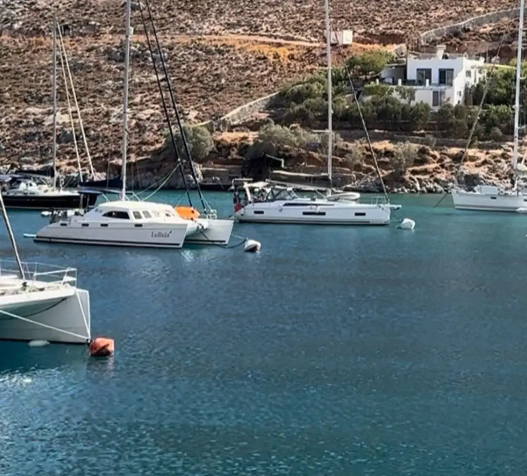Yachts docked in a harbor with a scenic background