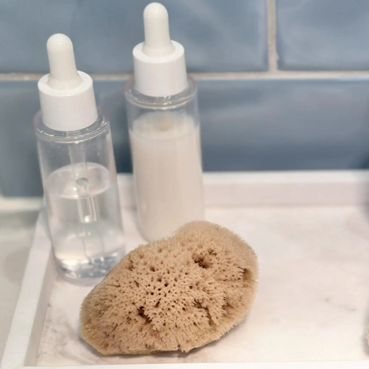 natural face sponge