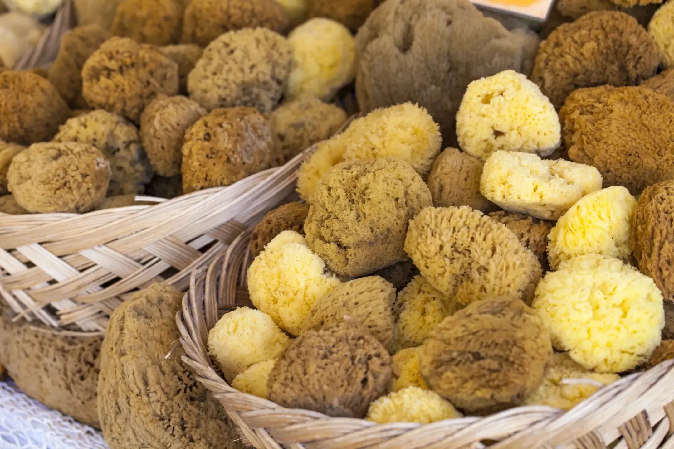 Baskets filled with natural sea sponges of various sizes and colors.