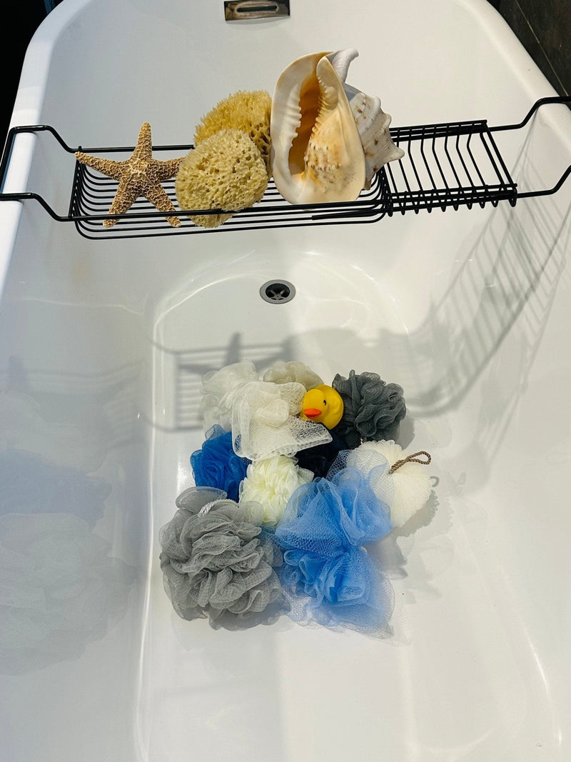 Are Natural Sea Sponges Really That Expensive? Let’s break it down! - Aqua Zoi