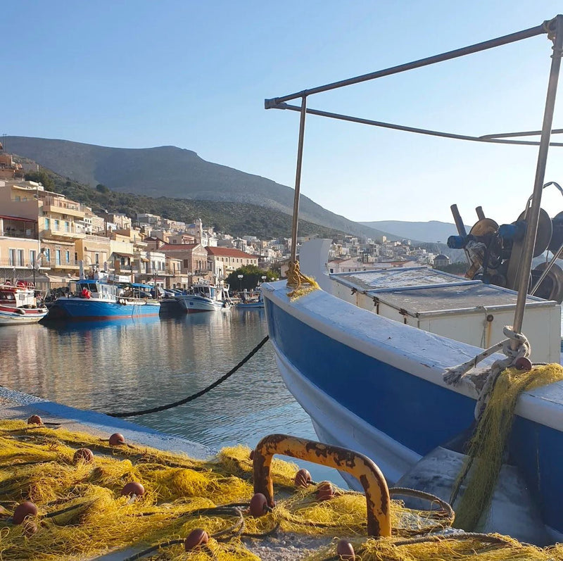 Ethical and Eco-Friendly: The Art of Harvesting Natural Sea Sponges - Aqua Zoi