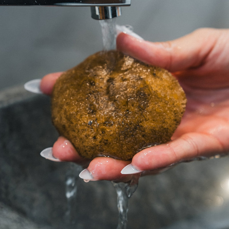 How to Clean a Natural Sea Sponge: Care, Drying & How Long They Last - Aqua Zoi