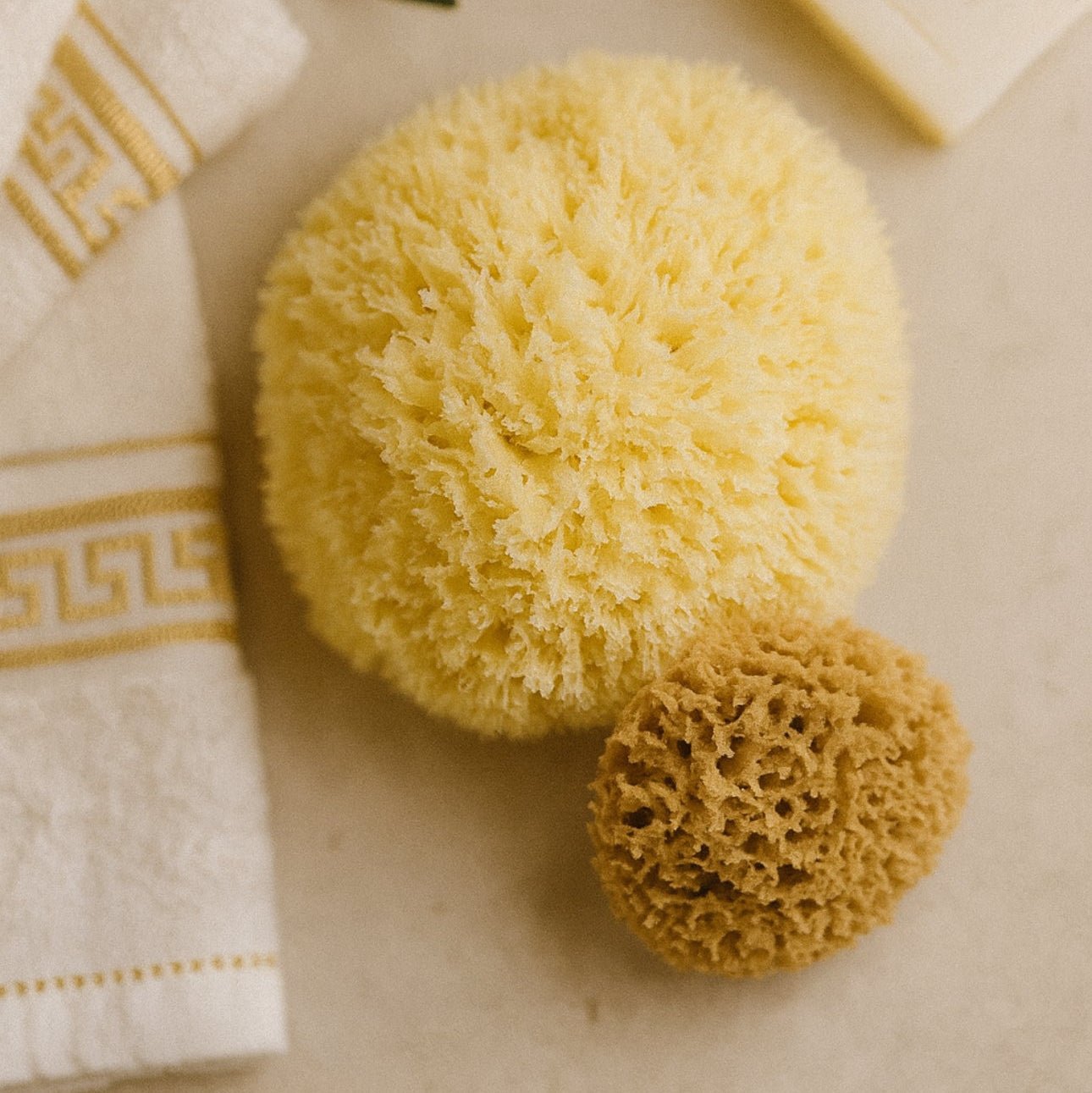 The Best Natural Loofah Alternative in Australia - Aqua Zoi