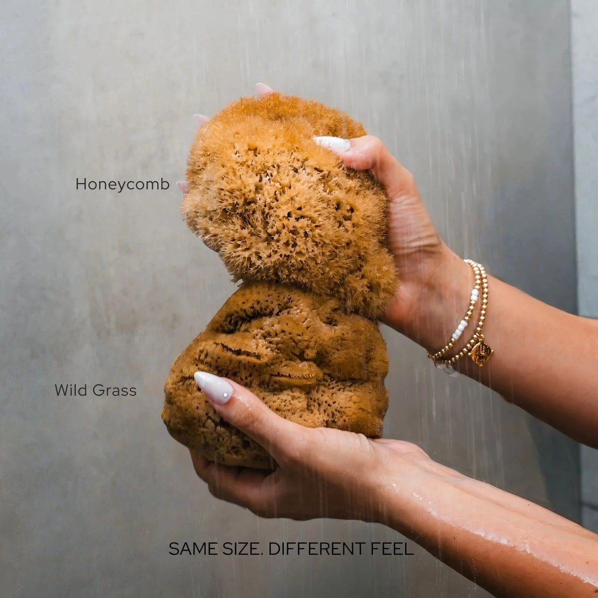 Which Natural Sea Sponge Is Right for You? - Aqua Zoi