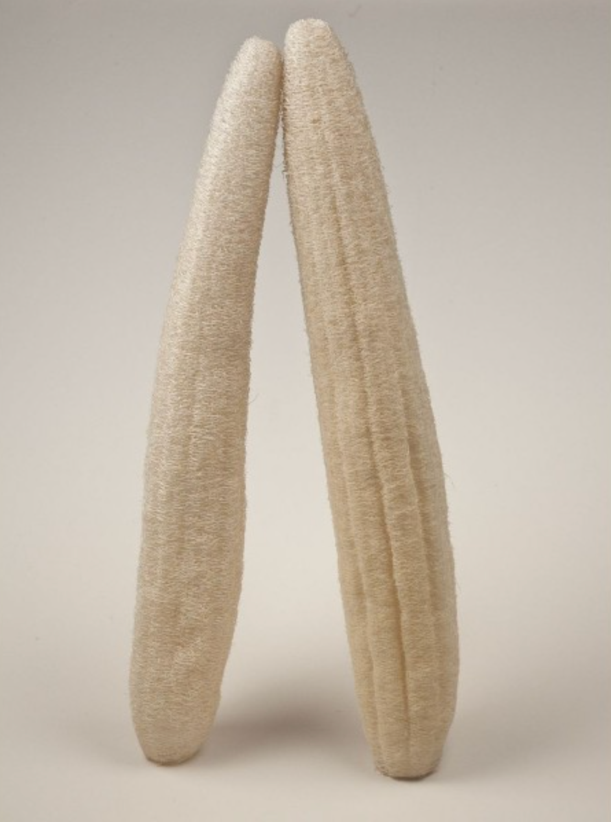 Natural loofah - limited run