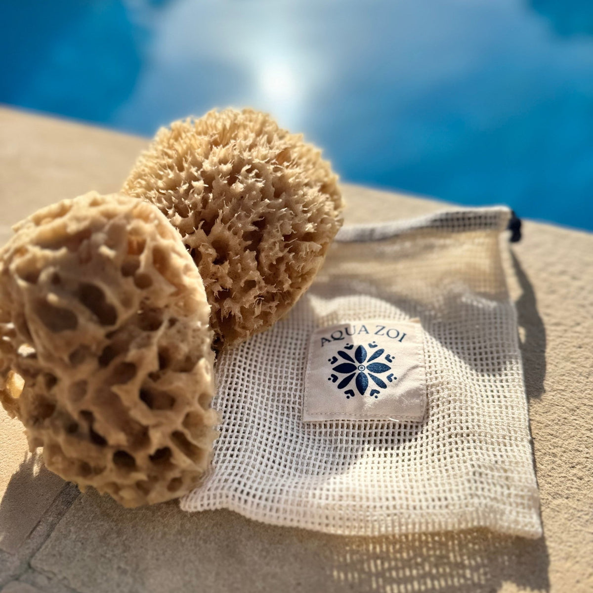2 natural honeycomb sea sponges with net aqua zoi bag