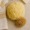 1 body and 1 face sea sponge set