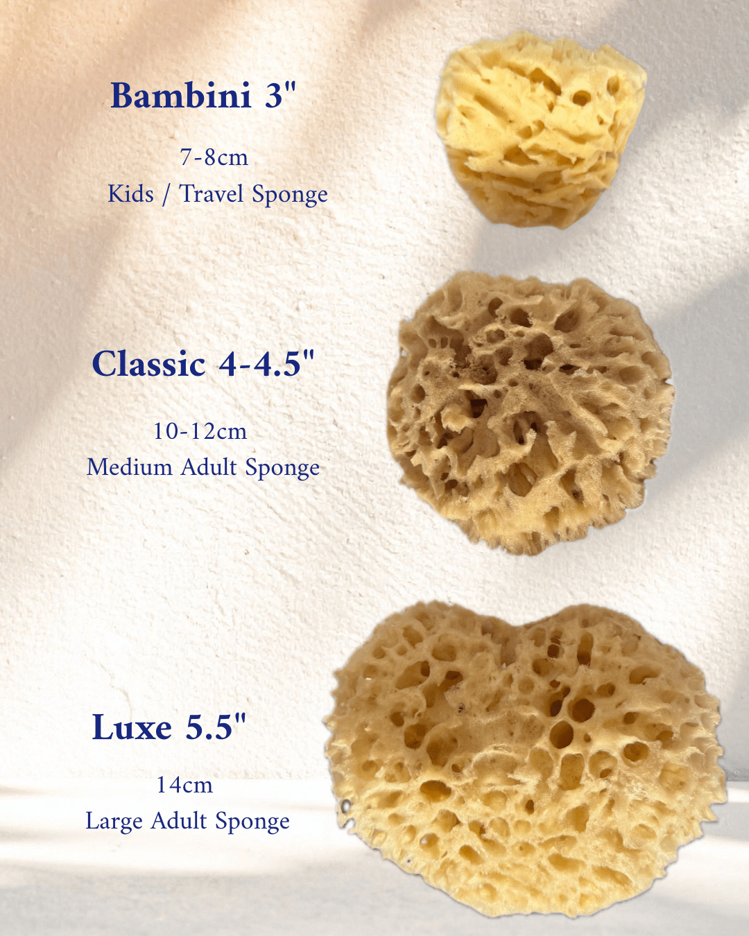 Aegean Honeycomb Bath Sponges SM - XL - Aqua Zoi