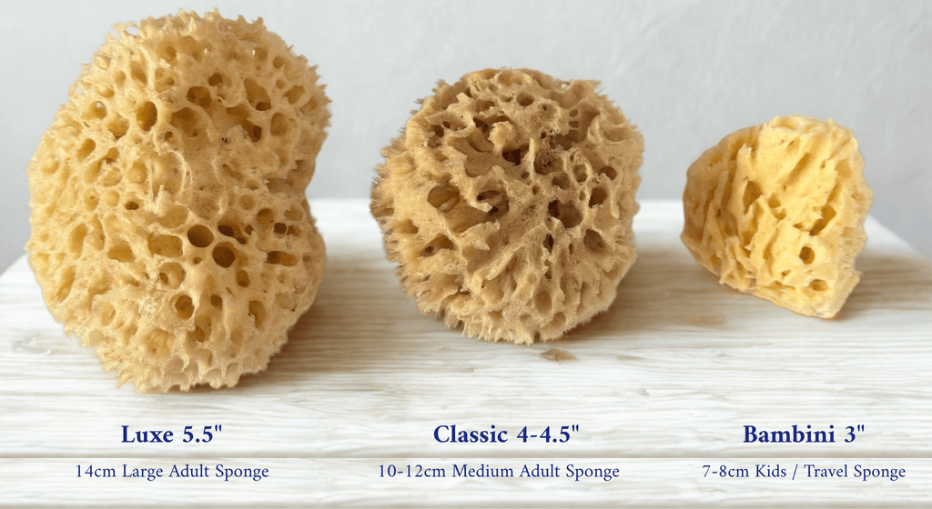 Bambini Super Soft Sponge - Gentle Cleansing for Babies & Sensitive Skin - Aqua Zoi