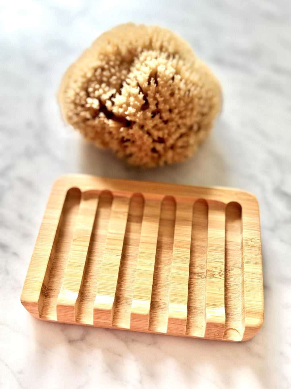 Bamboo Sponge Dish - Aqua Zoi