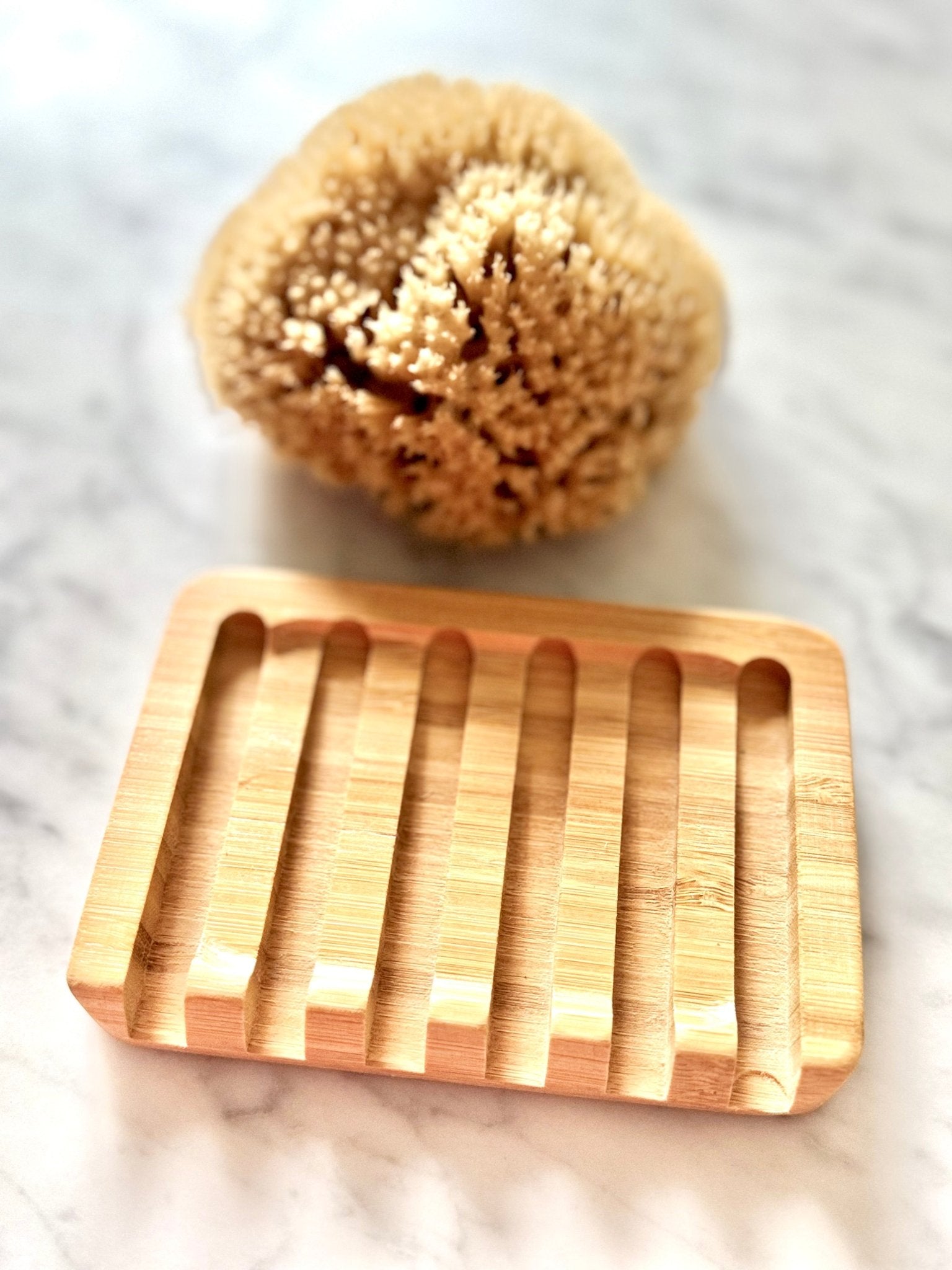 Bamboo Sponge Dish - Aqua Zoi