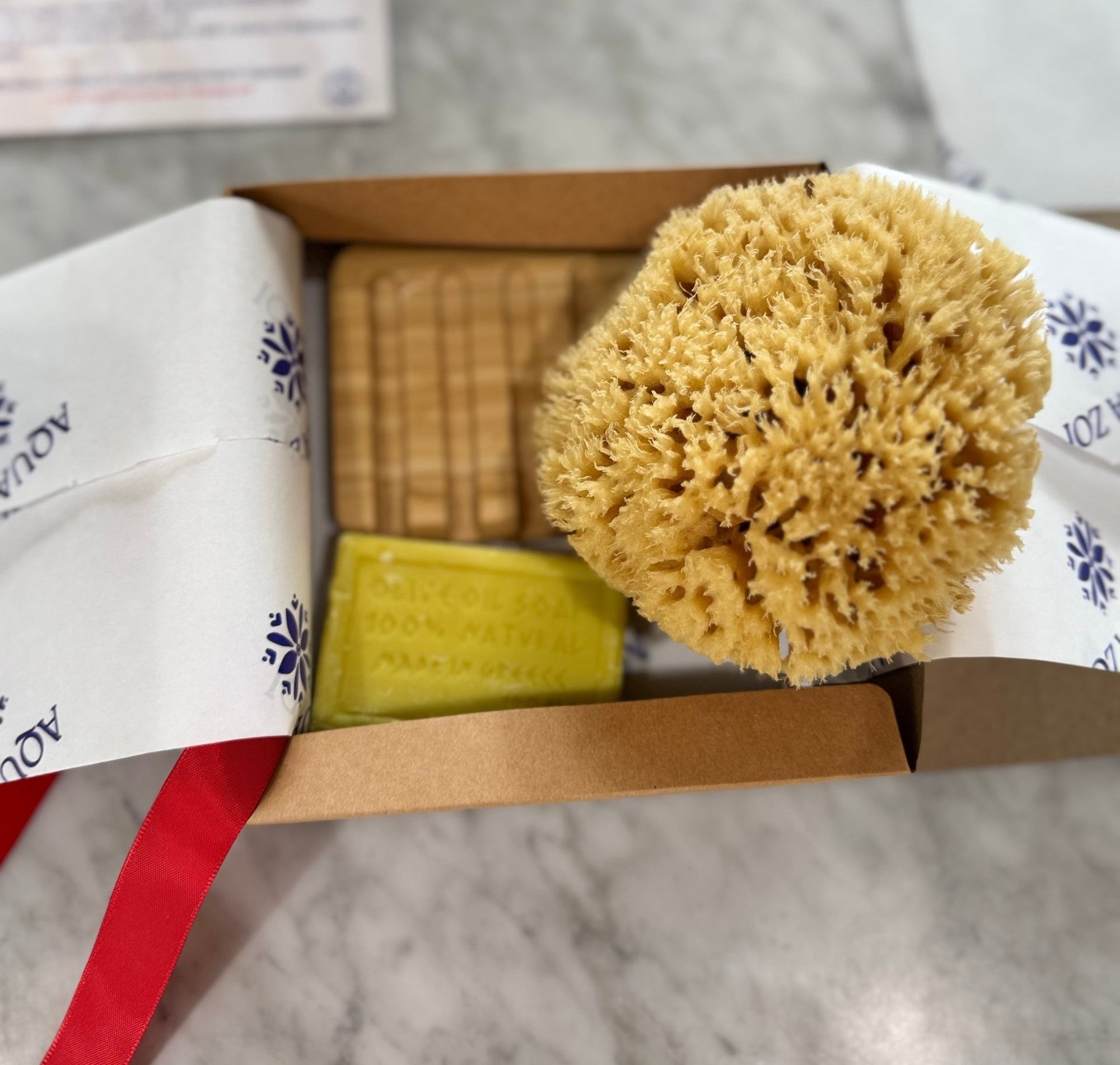 Bamboo Sponge Dish - Aqua Zoi