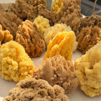 Decor Sea Sponges | Limited Editions | One of a Kind - Aqua Zoi