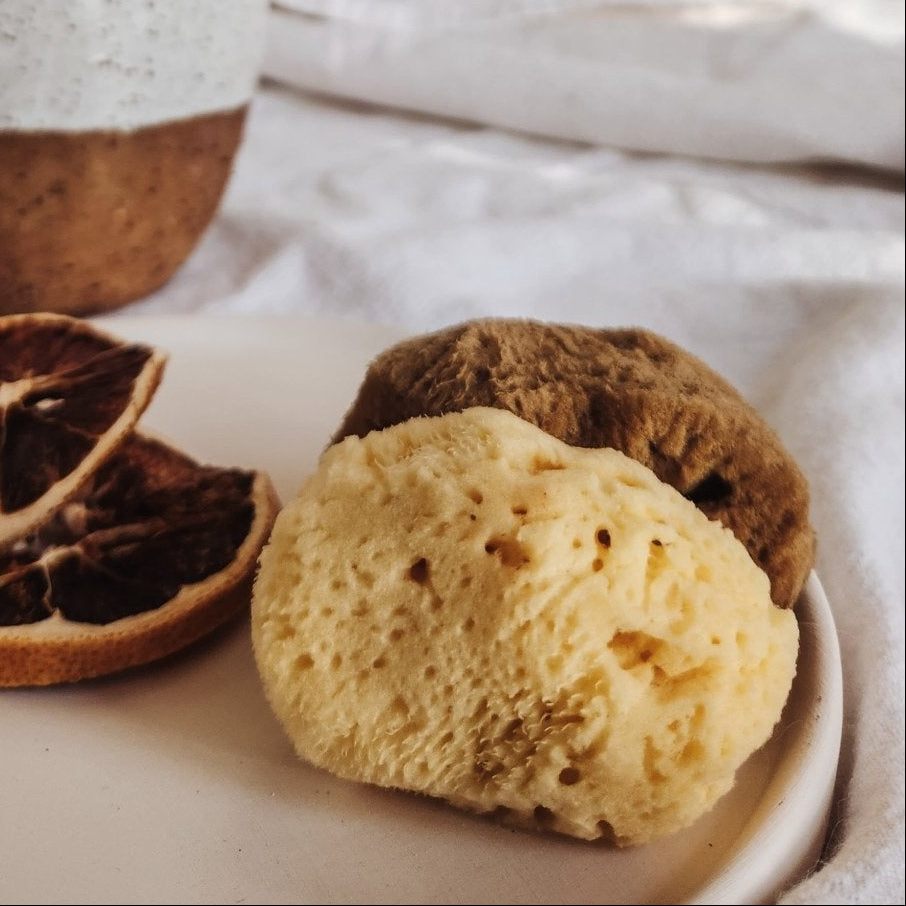 fine silk sea sponges for facial cleansing