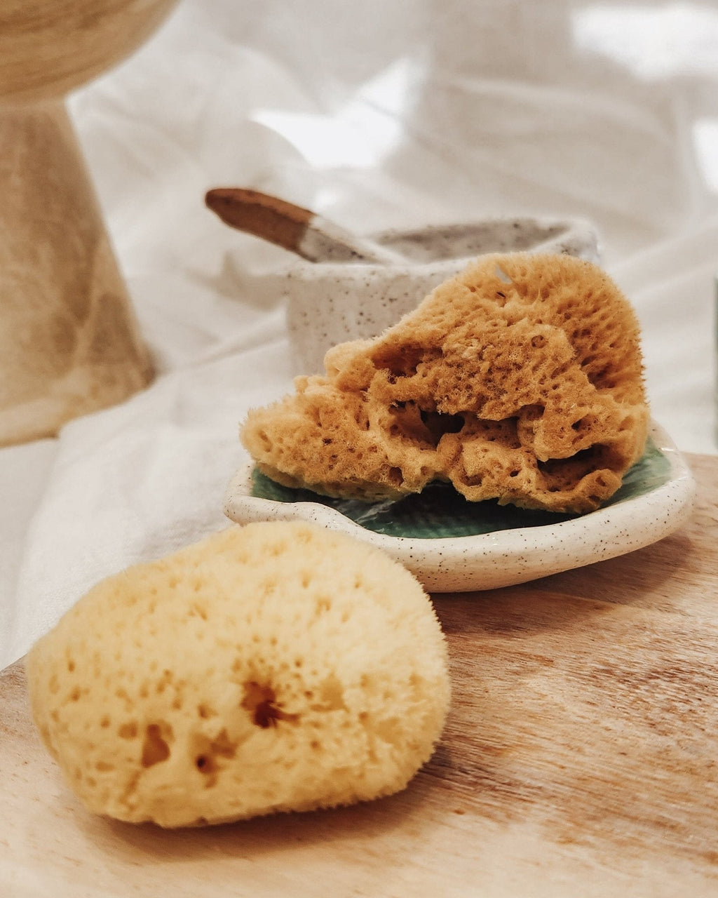 Glow Facial Duo - Natural Cleansing & Beauty Blender Set - Aqua Zoi