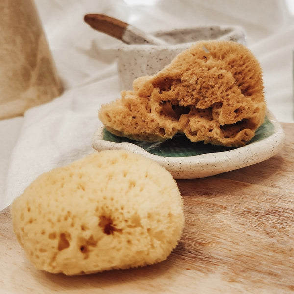 Glow Facial Duo - Natural Cleansing & Beauty Blender Set - Aqua Zoi