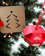 Glow Facial Duo - Natural Cleansing & Beauty Blender Set - Aqua Zoi