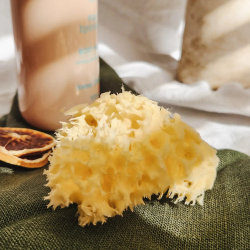 Intima Sponge - Natural Feminine Care - Aqua Zoi