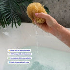 Intima Sponge - Natural Feminine Care - Aqua Zoi