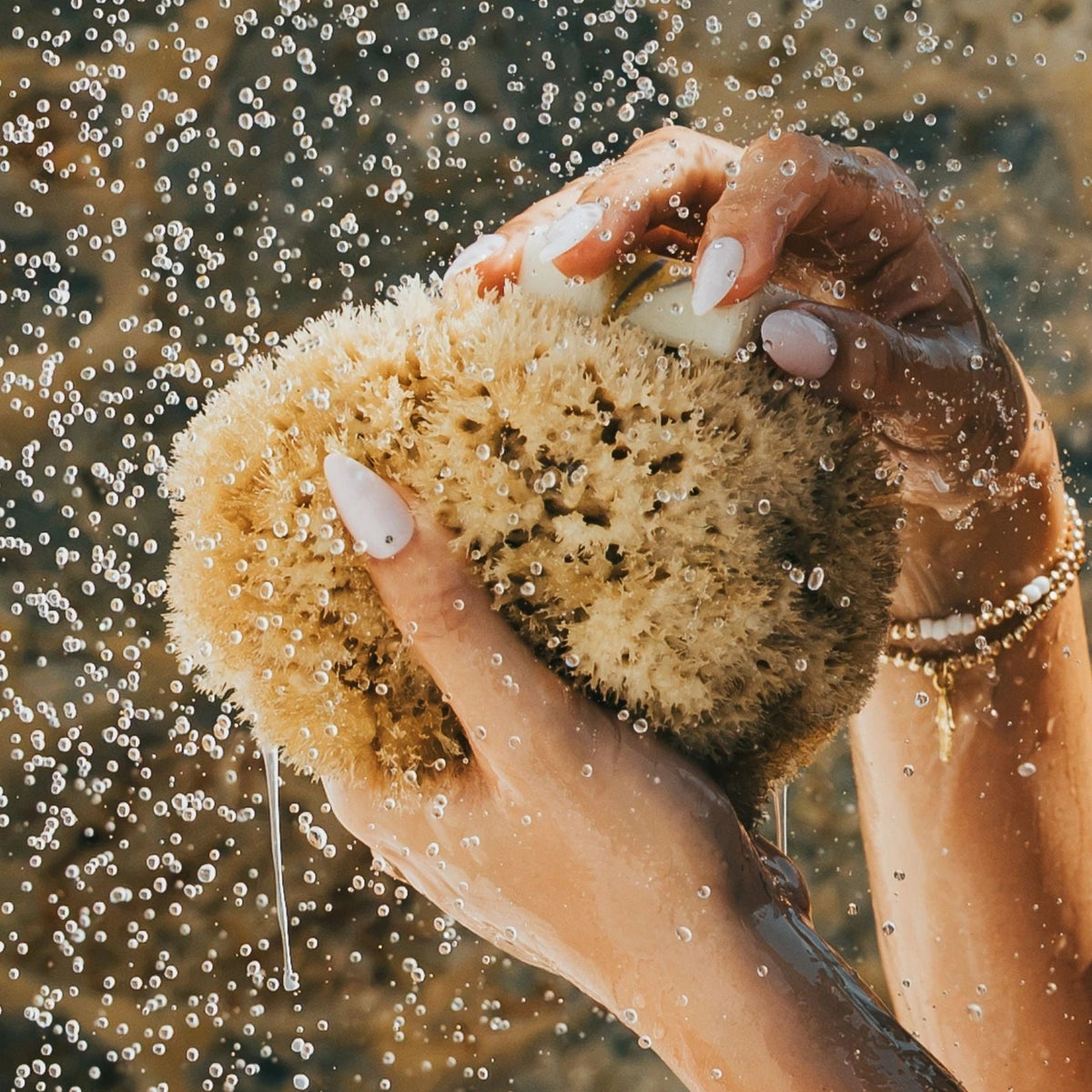 Luxe Bath Sponges - Aqua Zoi