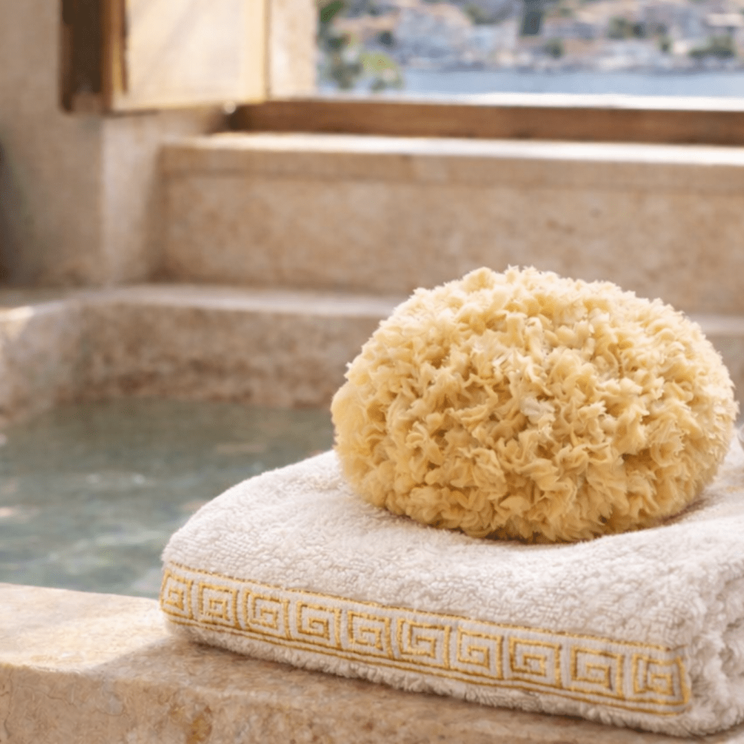 Luxe Bath Sponges - Aqua Zoi