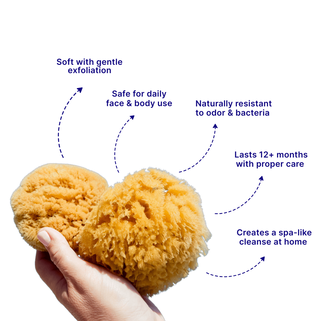 Luxe Bath Sponges - Aqua Zoi