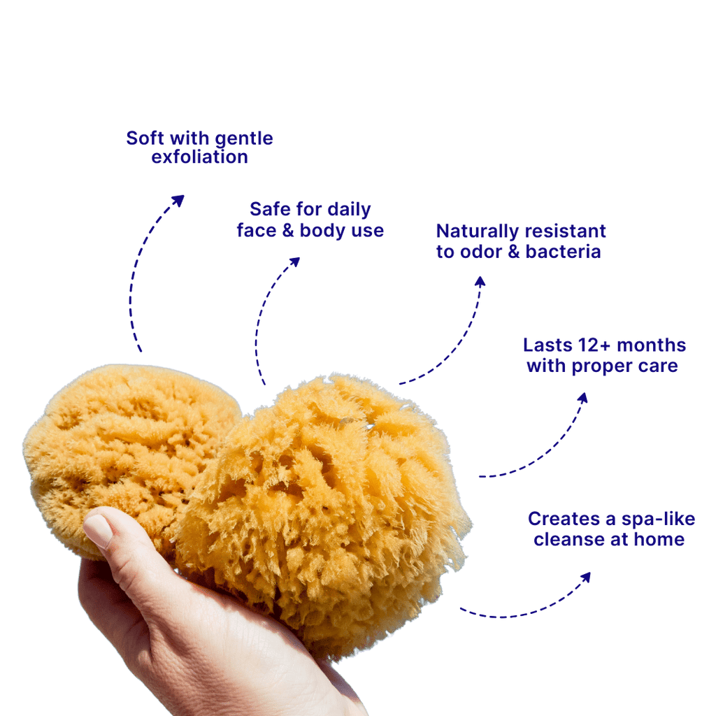 Luxe Bath Sponges - Aqua Zoi