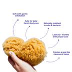 Luxe Bath Sponges - Aqua Zoi