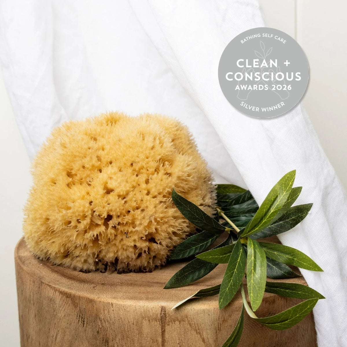 Luxe Bath Sponges - Aqua Zoi