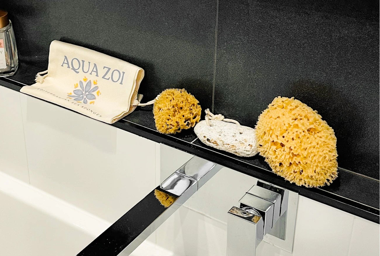 Bathroom shelf containing natural sea sponges and pumice stone.