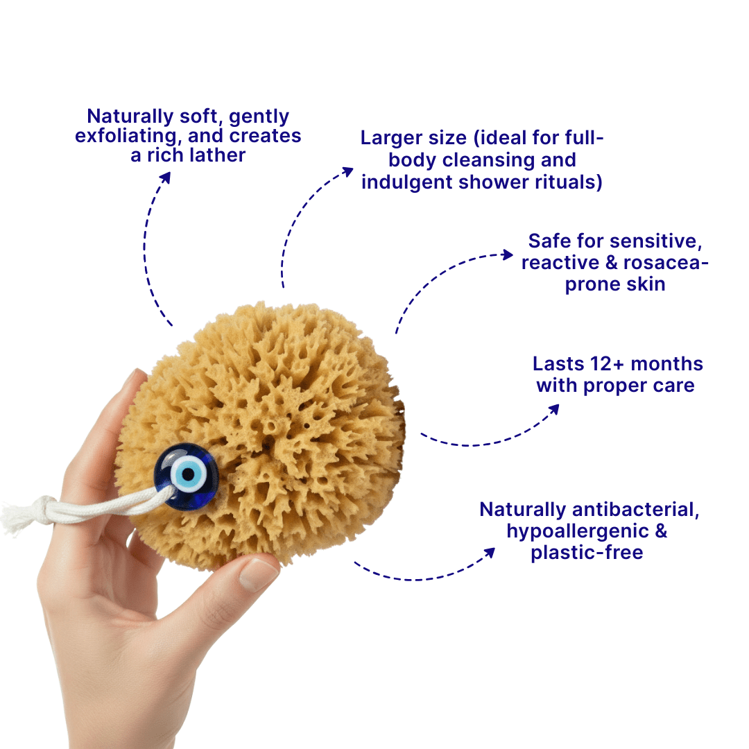 Mati Sponge - Aqua Zoi