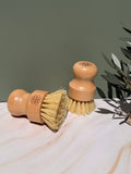 Natural Dish Brush - Aqua Zoi