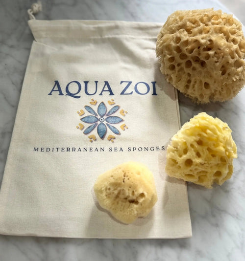 Pamper Pup Pack - Aqua Zoi
