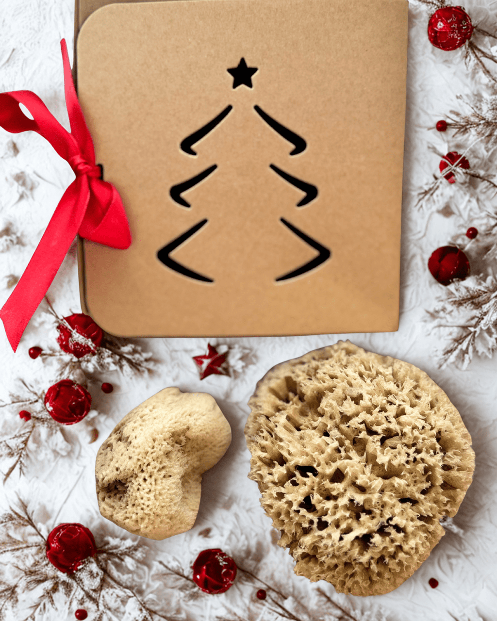 Radiant Ritual Set - Complete Face & Body Natural Sponge Bundle - Aqua Zoi