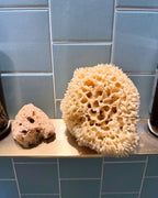Radiant Ritual Set - Complete Face & Body Natural Sponge Bundle - Aqua Zoi