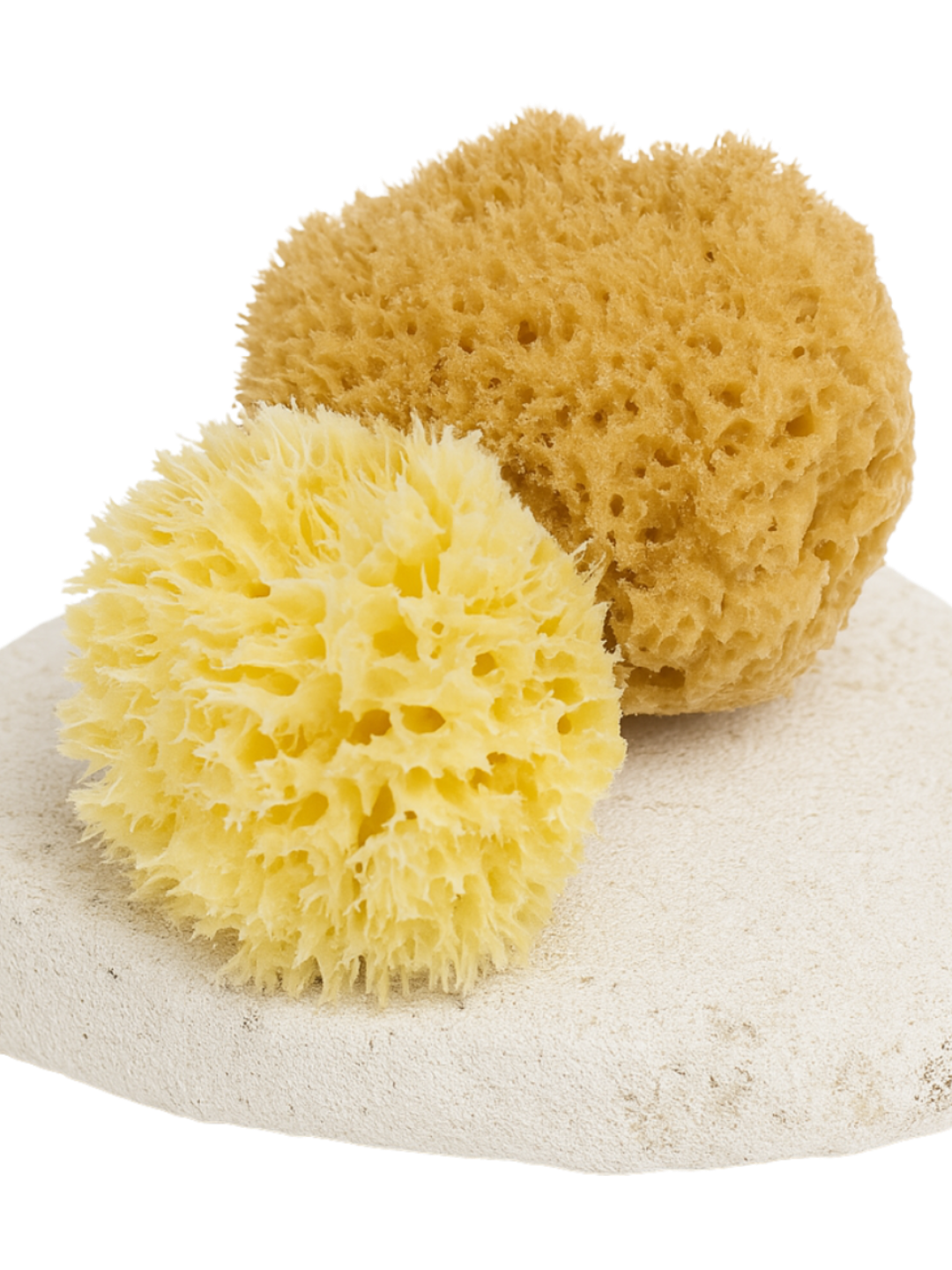 Two natural porous bath sponges, one pale yellow and one tan, displayed on a round white stone against a plain white background.