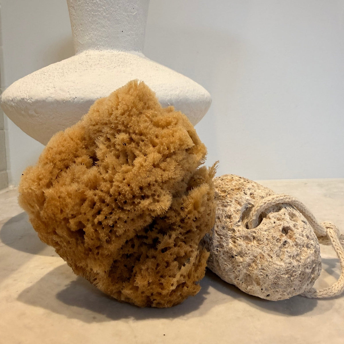 Silky Body Set - Wild Sponge & Stone Bundle - Aqua Zoi
