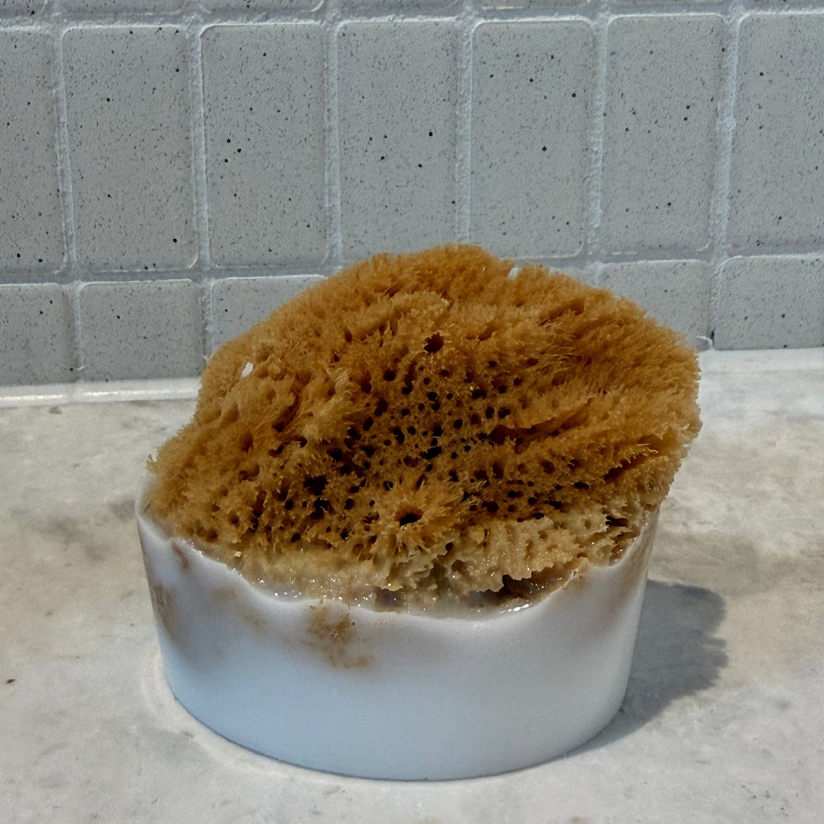 Sponge Soap - Aqua Zoi