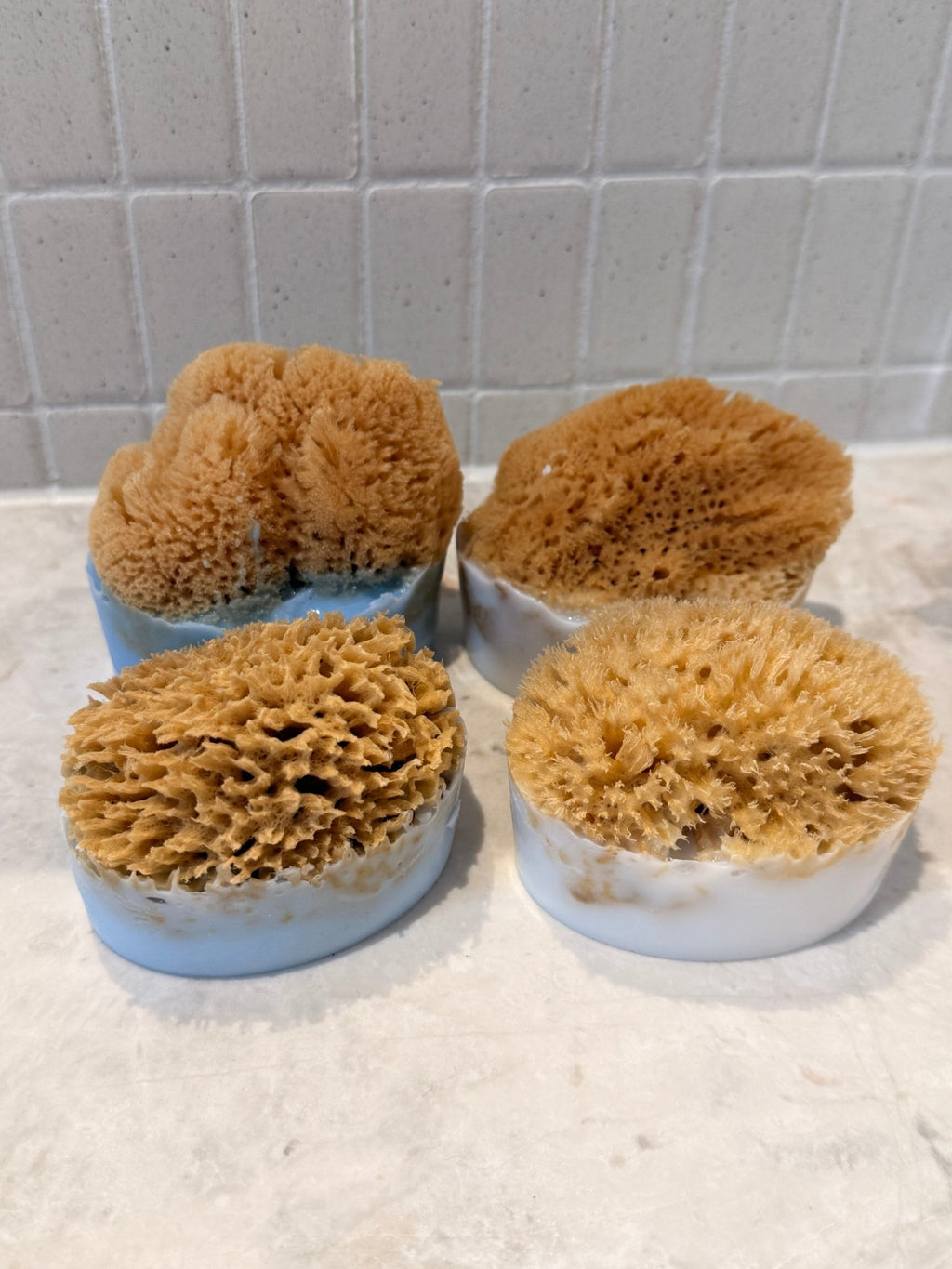 Sponge Soap - Aqua Zoi