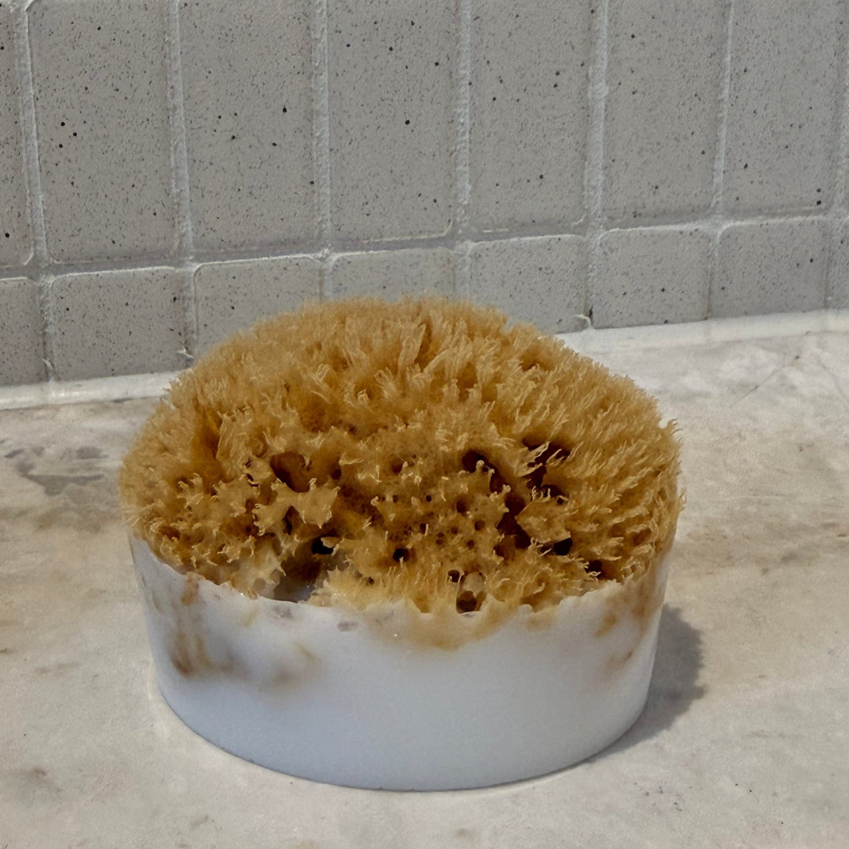 Sponge Soap - Aqua Zoi