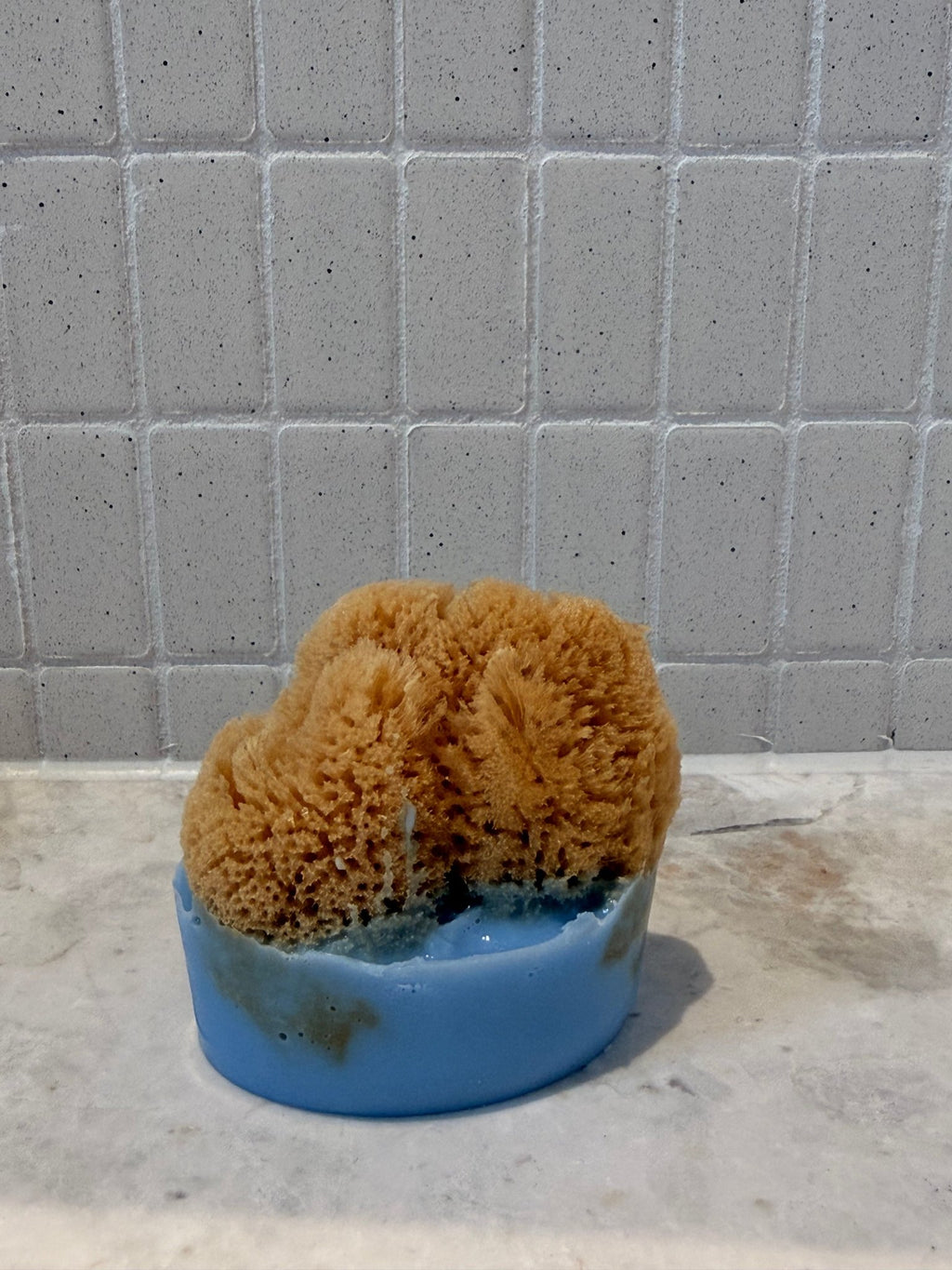 Sponge Soap - Aqua Zoi