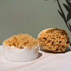 Sponge Soap - Aqua Zoi