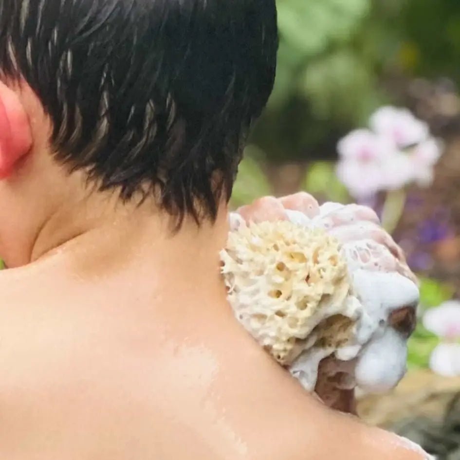 The Bambini Sponge - Aqua Zoi