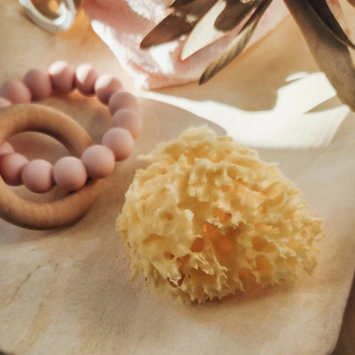 The Bambini Sponge - Aqua Zoi