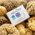 The Little Luxe Sponge - Aqua Zoi