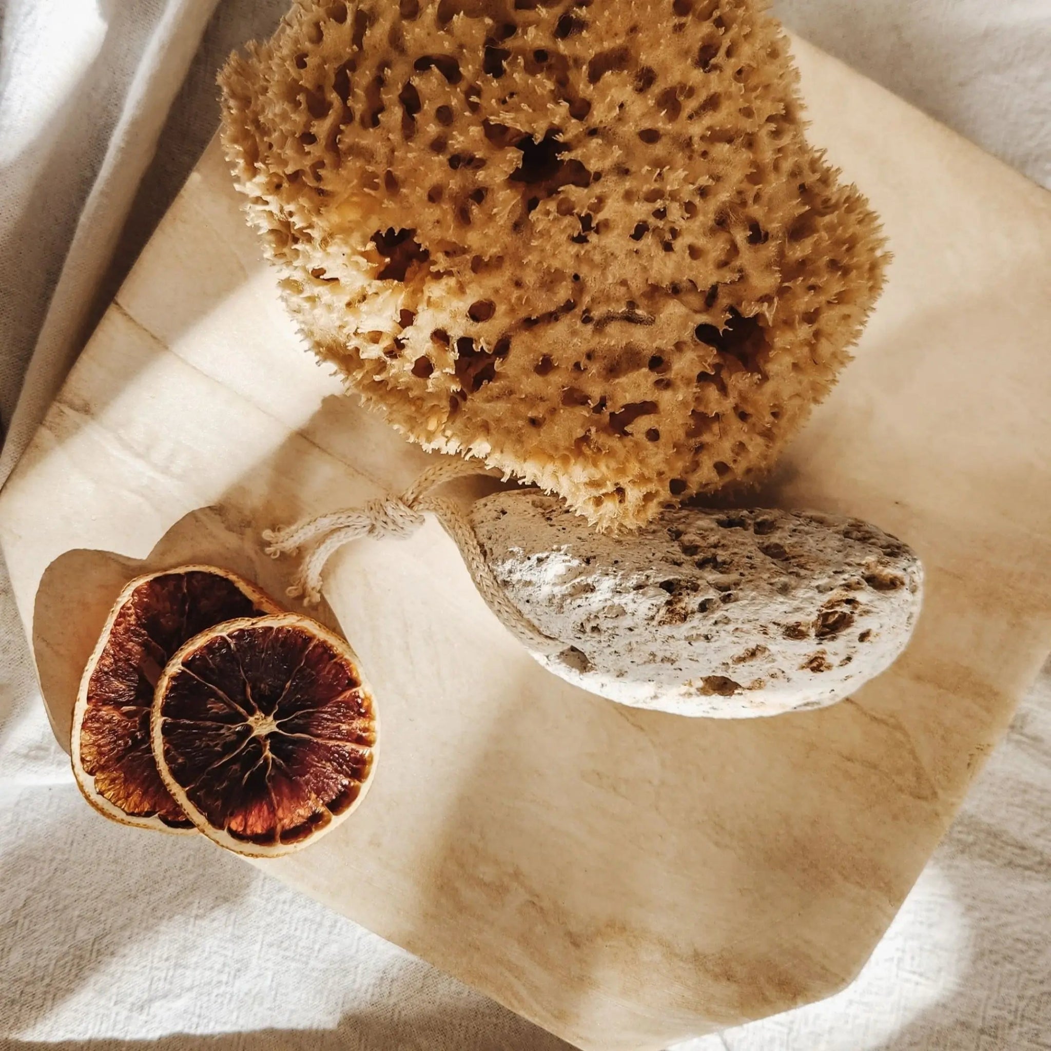 The Pumice Stone - Aqua Zoi