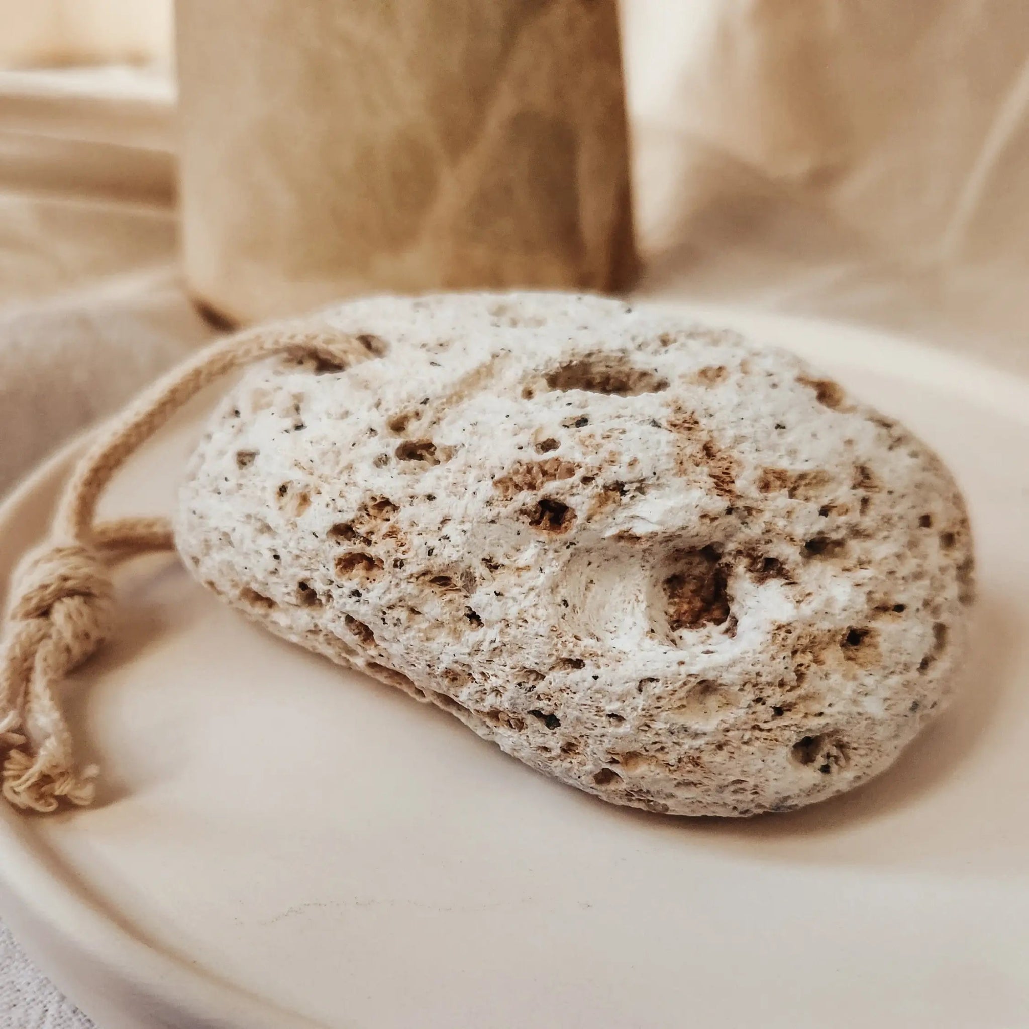 The Pumice Stone - Aqua Zoi