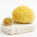 The Radiant Ritual Set - Aqua Zoi