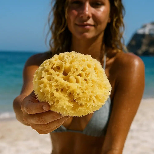 The Silky Sponge - Aqua Zoi