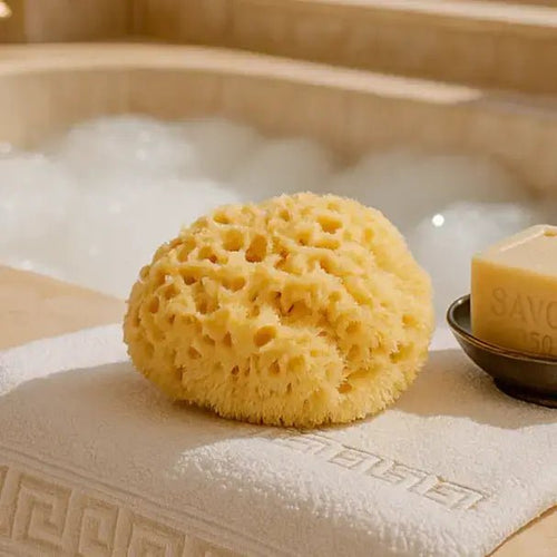 The Silky Sponge - Aqua Zoi